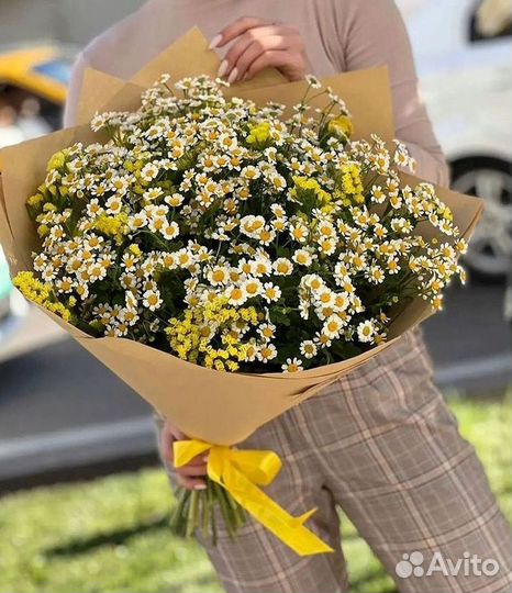 Доставка цветов. Ромашки