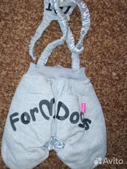 Одежда для маленьких собак