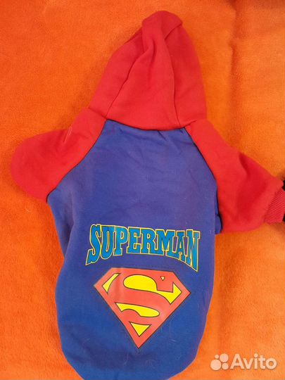 Одежда для маленьких собак