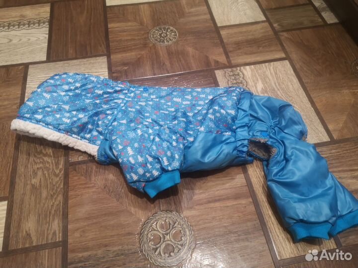 Комбинезон для маленькой собаки мальчик