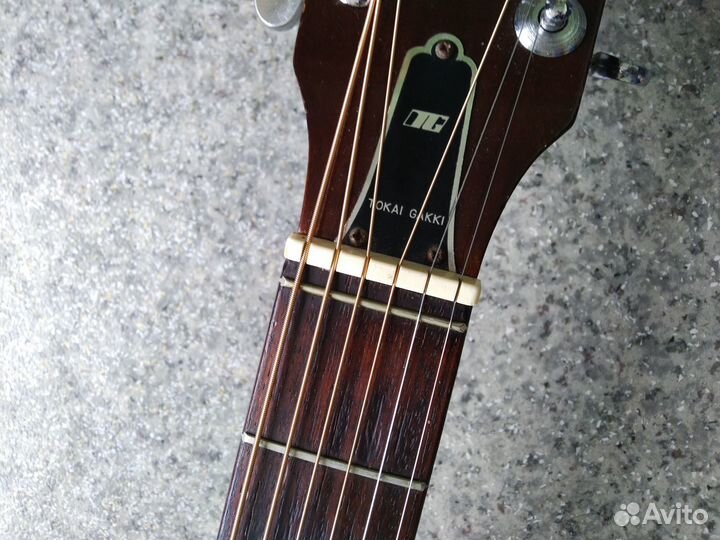 Гитара Tokai Humming Bird