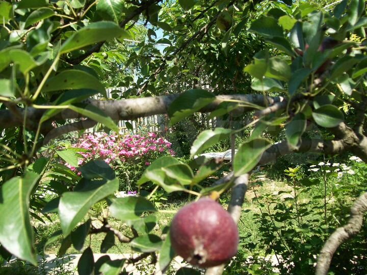 Комната 18 м², 2/2 эт.