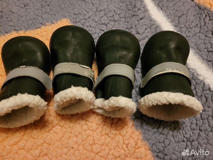 Свитер Rukka и сапожки для собаки