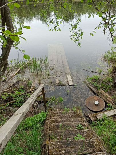 Участок 30 сот. (ИЖС)