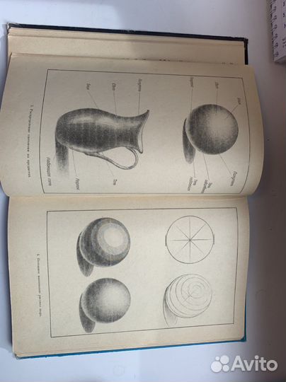 Учебные книги для детей