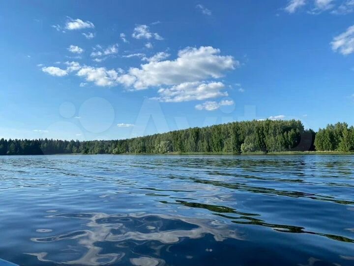 Участок 4,6 га (СНТ, ДНП)