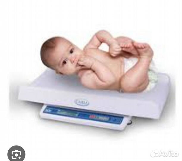 Весы Саша в аренду