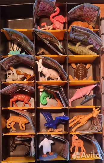 Киндер сюрприз натунс, 2022-2023