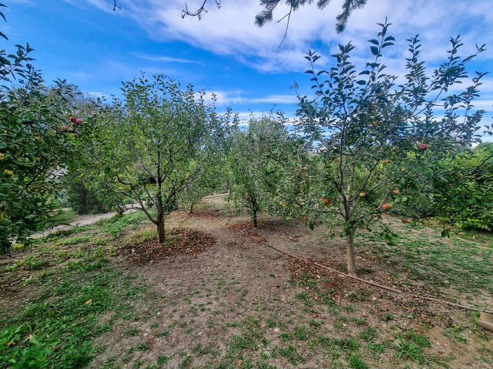 Дом 122 м² на участке 23 сот.