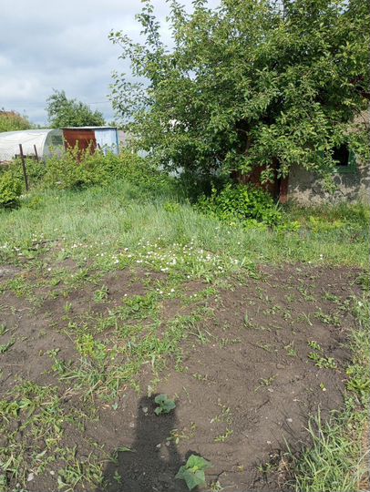 Участок 4 сот. (СНТ, ДНП)