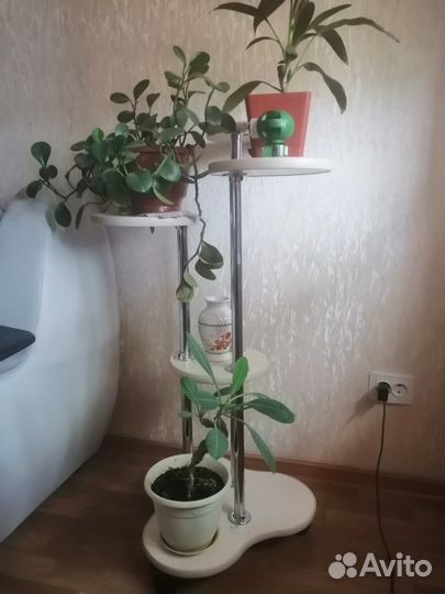 Полка для цветов