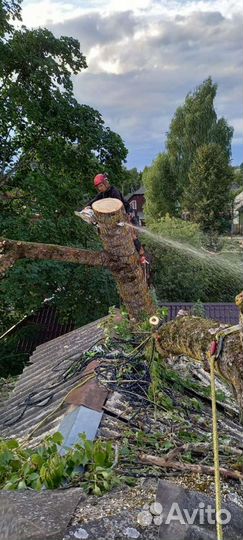 Удаление деревьев