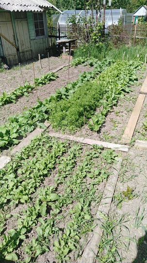 Дача 22 м² на участке 7,8 сот.