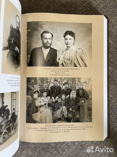 Переписка отца и сына Толстых