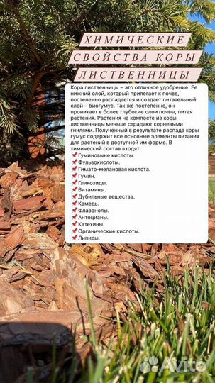 Кора, мульча лиственницы