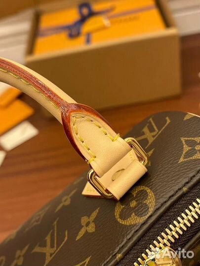 Сумка Louis Vuitton Speedy 20