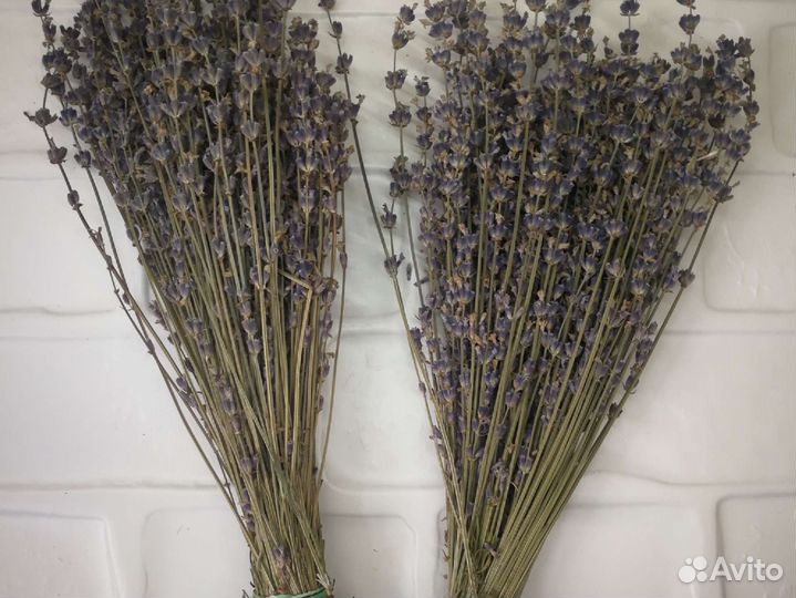 Пучок лаванды