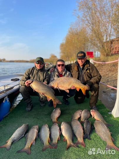 Организация рыбалки