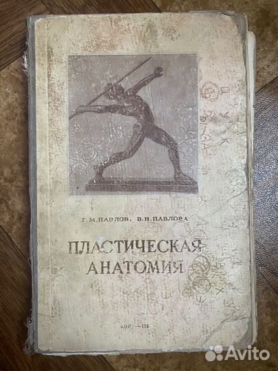 Пластическая анатомия 1954