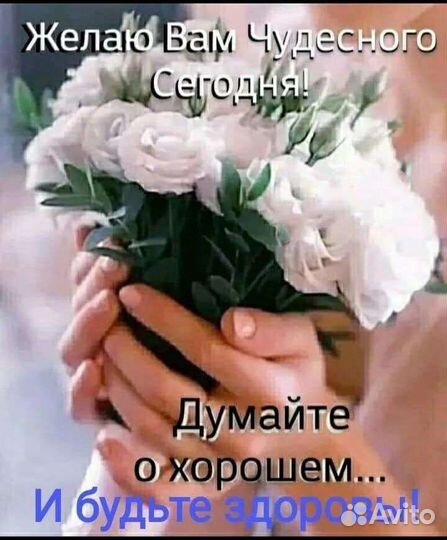 Коньки
