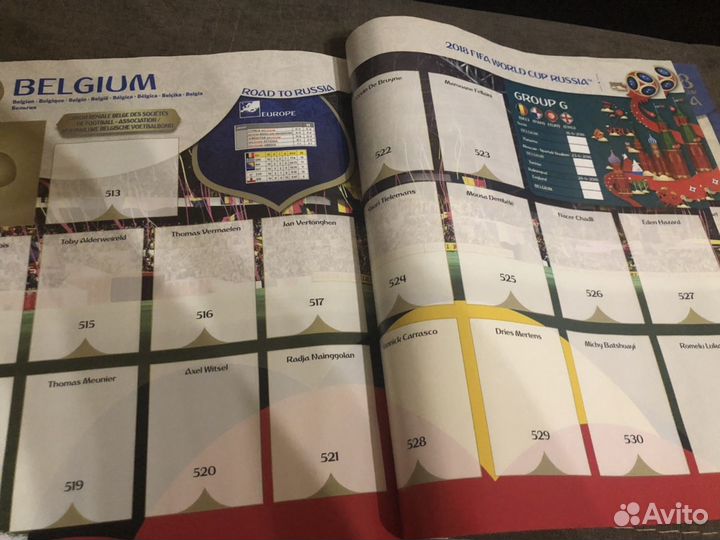 Альбом посвящённый к Чемпионату