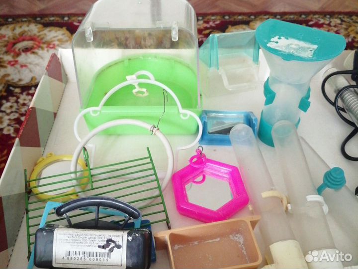 Для попугая и рыб