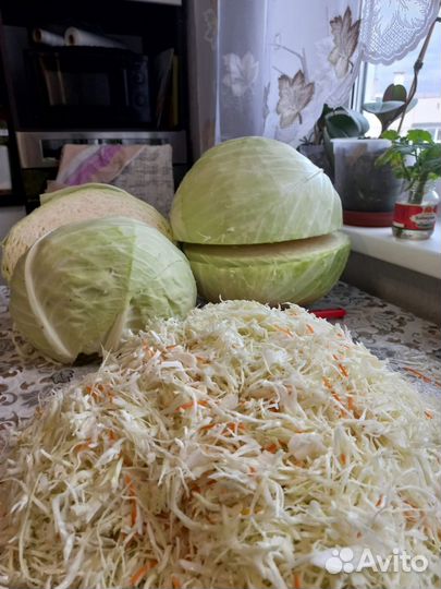 Капуста квашеная