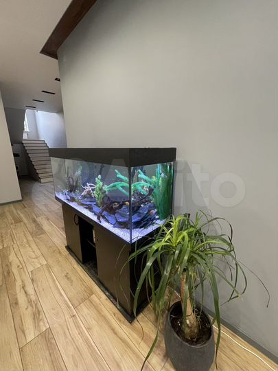 Дом 250 м² на участке 9 сот.