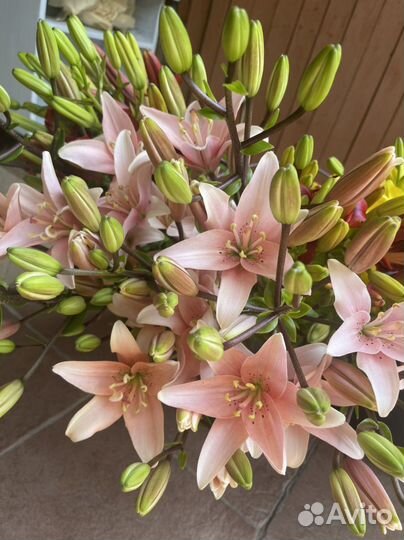 Лилии и букеты из них