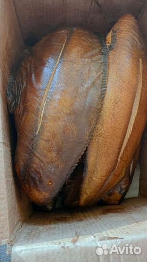 Палтус холодного копчения, Мурманск