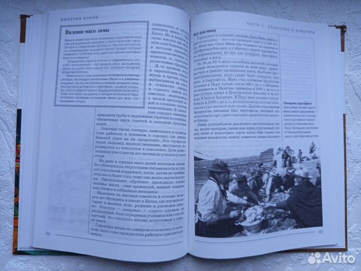 Империя инков Сомервилл