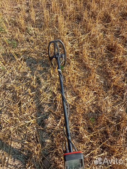 Металлоискатель quest 5