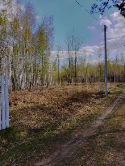 Участок 20 сот. (СНТ, ДНП)
