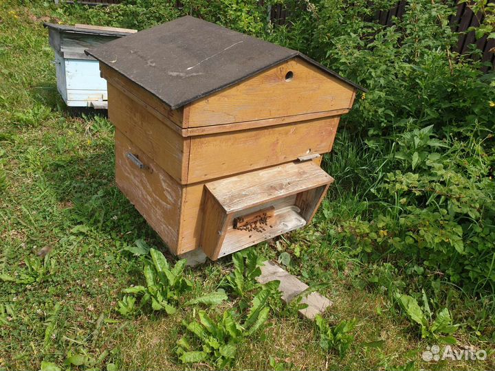 Улей с пчелами