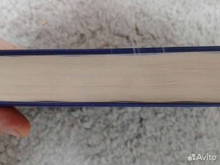 Жюль Верн. Упрямец керабан