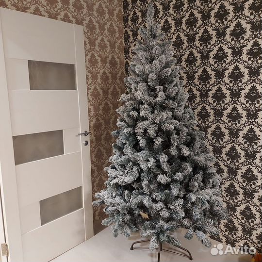 Ель заснеженная