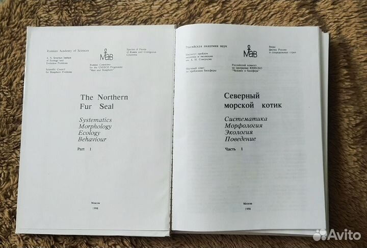 Северный морской котик. Систематика Морфология