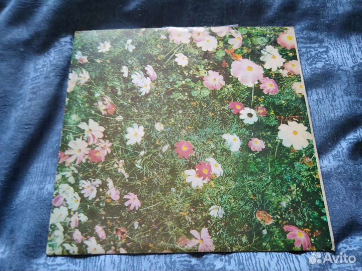 Пластинка синяя птица