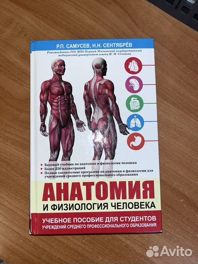 Анатомия и физиология человека