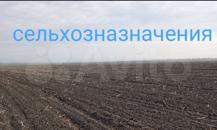 Участок 6 га (СНТ, ДНП)