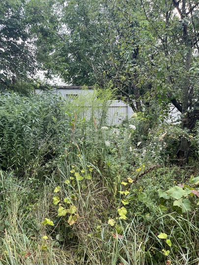 Участок 4 сот. (ИЖС)