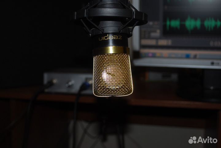 Ламповый микрофон