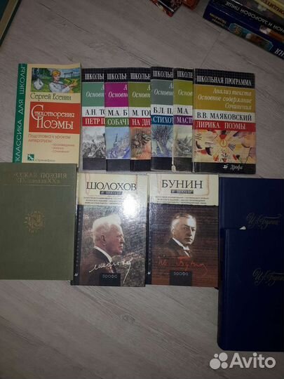 Книги для сочинения