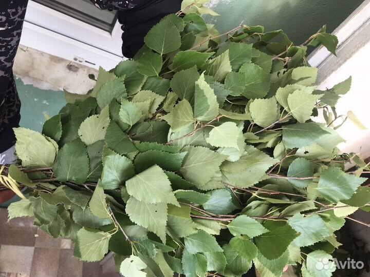 Веники для бани