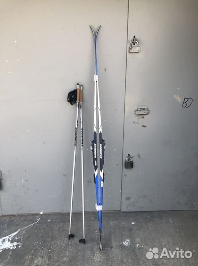 Беговые лыжи