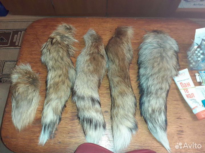 Лисий хвостик