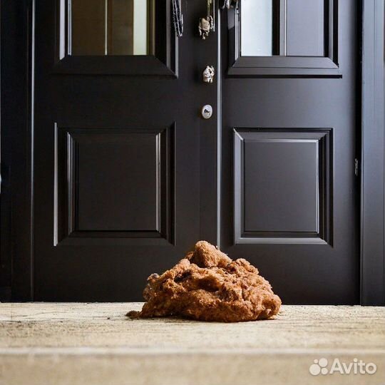 Насру под дверь