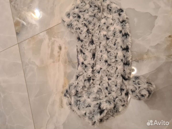 Одежда для собак