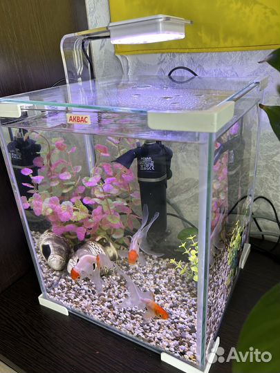 Аквариум 20 литров