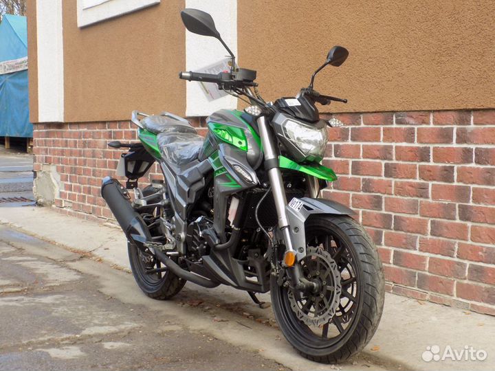 Мотоцикл regulmoto T-Leopard 300 (2022)